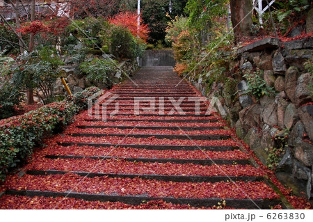 京都吉田山神楽岡の風景 京都吉田山神楽岡の風景 6263830