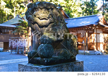 狛犬(阿形像)（宝登山神社／埼玉県秩父郡長瀞町長瀞） 6264130
