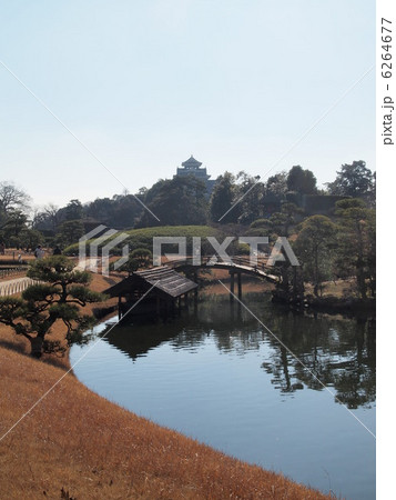 師走の後楽園沢の池から望む岡山城 師走の後楽園沢の池から望む岡山城 6264677