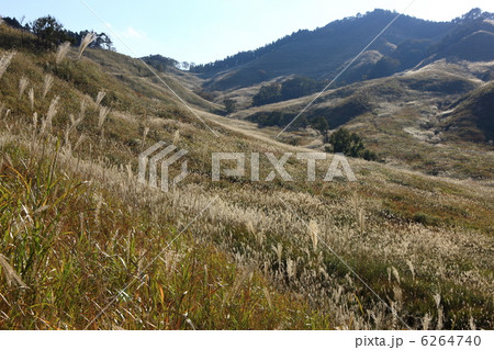 砥峰高原 6264740