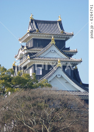 青空に聳える師走の岡山城クローズアップ 6264741