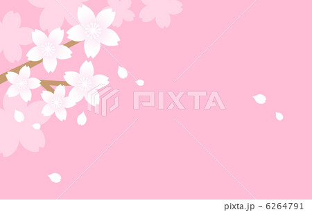 桜 桜 6264791