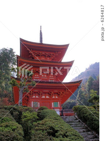 師走の美作長福寺三重塔 6264817