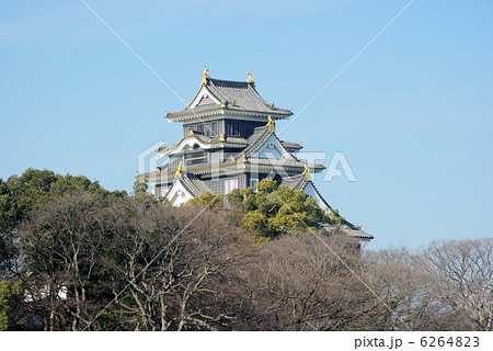 青空にぞびえる岡山城天守閣 6264823