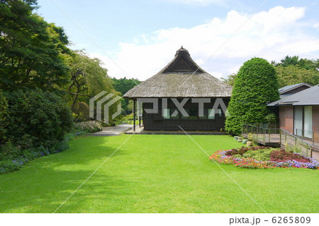 秩父宮記念公園 6265809