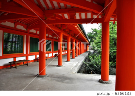 京都三十三間堂 境内 京都三十三間堂 境内 6266132