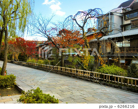 祇園白川の紅葉 6266216