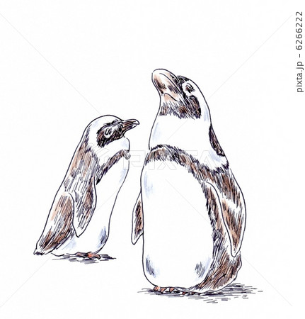 ペンギンのイラスト素材 ペンギンのイラスト素材