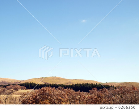青空 6266350
