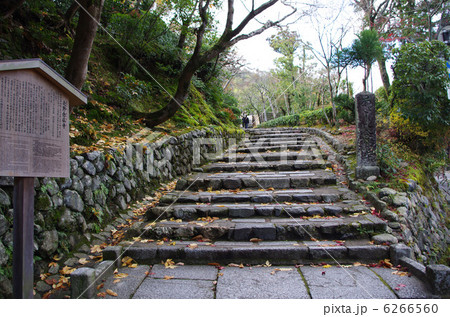 化野念仏寺 6266560