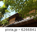 町家のイメージ 6266841