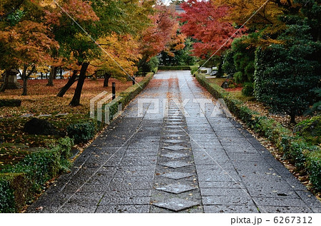 相国寺の参道 相国寺の参道 6267312