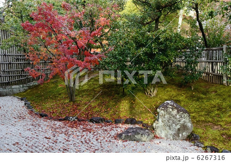 相国寺の枯山水庭園 相国寺の枯山水庭園 6267316