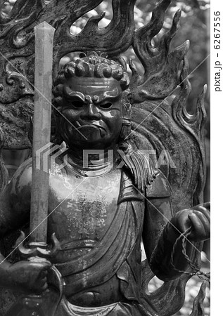 不動明王 不動明王 6267556