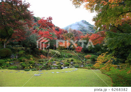 本坊庭園の紅葉 本坊庭園の紅葉 6268382