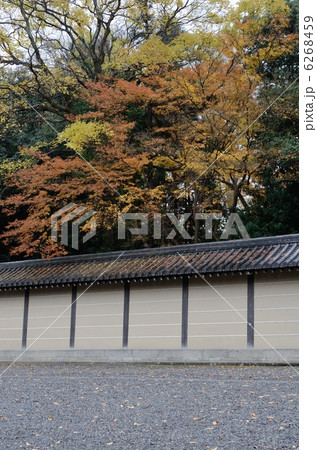 京都御所の築地塀 6268459