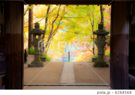 香嵐渓の紅葉 6268568