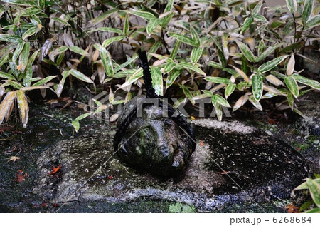 高桐院の関守石 6268684