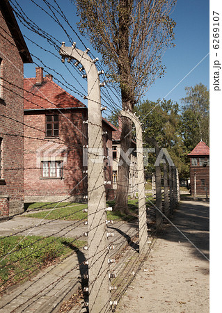 View down the barbed wire fence, Auschwitz 6269107
