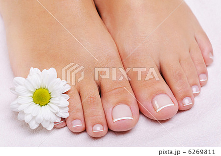 French pedicure on a female feet 6269811