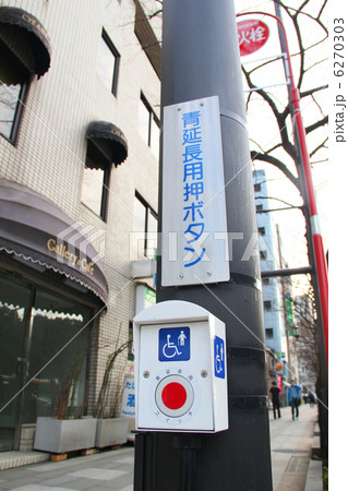 青延長用押ボタン 6270303