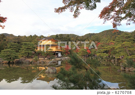 金閣寺　鹿苑寺 11月　京都　世界遺産 6270708