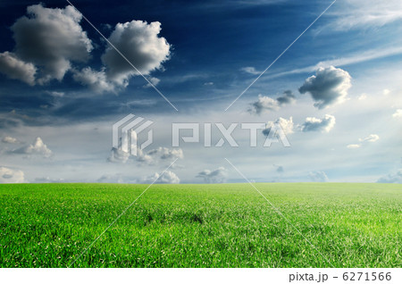 spring field 6271566