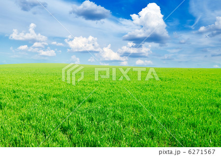 field 6271567