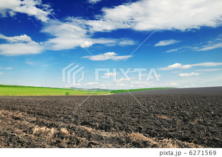 arable land 6271569