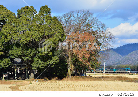 鉄道　 山陰本線 　京都口　千代川~八木　正月　鎮守の森　神社　KTR特急 6271615