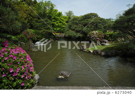 京都 城南宮 室町の庭 京都 城南宮 室町の庭 6273040