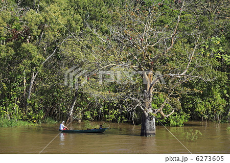 アマゾン川 6273605