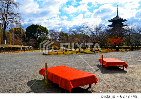 赤いベンチと東寺の五重塔 京都市南区 の写真素材