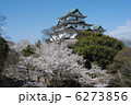 和歌山城と桜 6273856