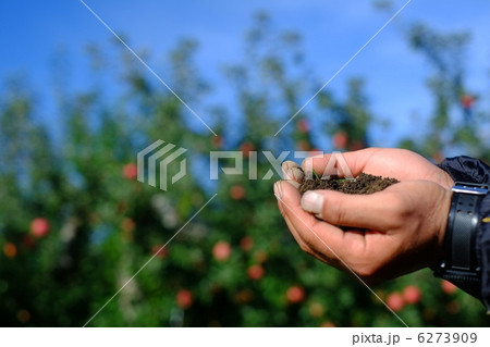 土づくりイメージ(バックはりんご) 土づくりイメージ(バックはりんご) 6273909