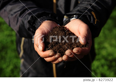 生きた土のイメージ 6273922