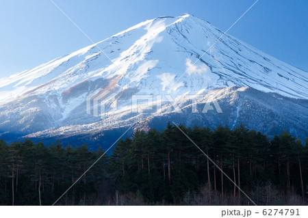 富士河口湖町、河口湖創造の森の富士山 6274791