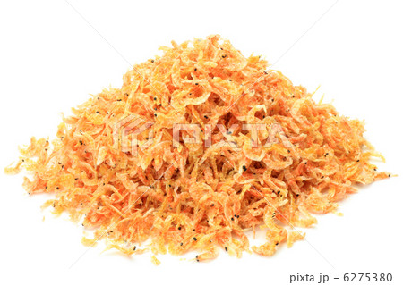 アミエビ アミエビ 6275380