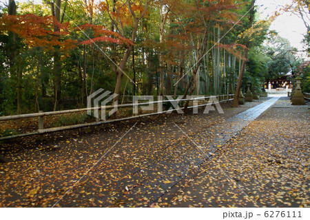 喜多見氷川神社参道 6276111