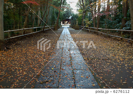 喜多見氷川神社参道 喜多見氷川神社参道 6276112