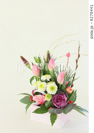 正月　迎春　花 6276441
