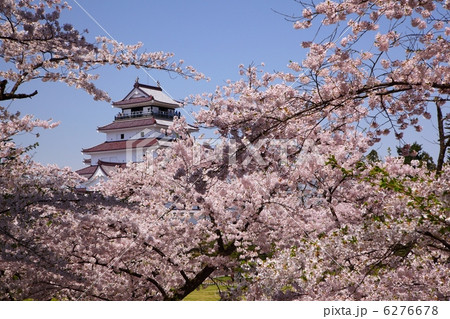 桜と鶴ヶ城 桜と鶴ヶ城 6276678