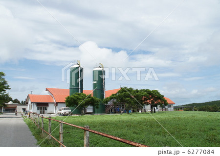 うしの牧場 うしの牧場 6277084