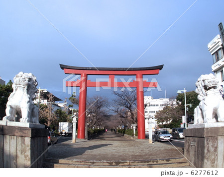 鶴岡八幡宮の段葛 6277612