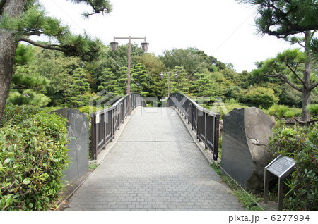 百合鴎橋 百合鴎橋 6277994