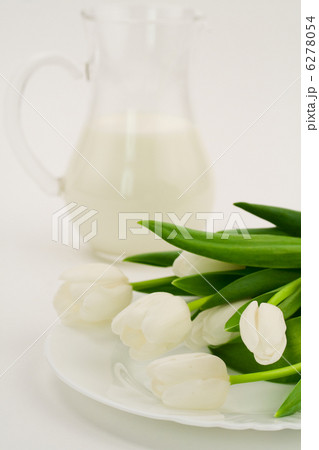 milk and tulips milk and tulips 6278054
