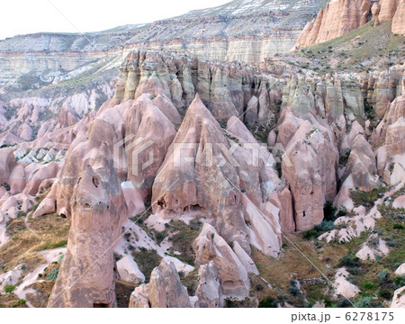 ローズバレー ローズバレー 6278175