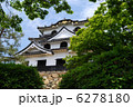 彦根城 6278180