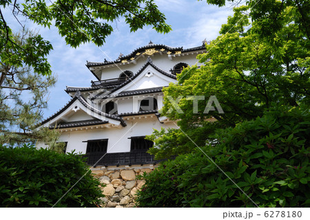 彦根城 6278180