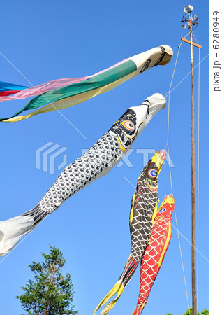鯉のぼり 鯉のぼり 6280949